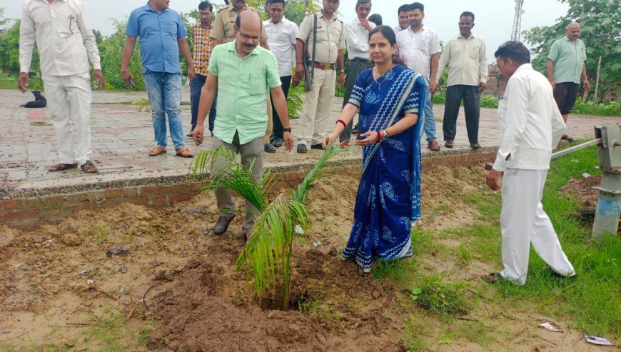 नवागंतुक उपजिलाधिकारी संध्या शर्मा ने कार्यभार ग्रहण करते ही अजीतमल तहसील परिसर में किया वृक्षारोपण