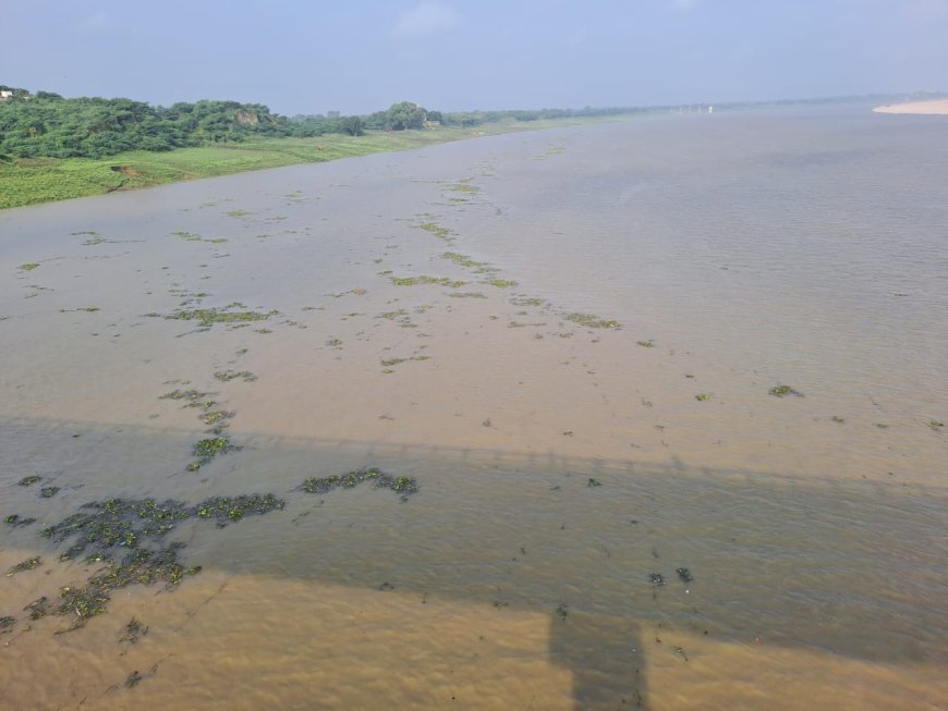 पंचनद धाम क्षेत्र में यमुना नदी बाढ़ से उफनीं लेकिन जलस्तर ख़तरे के निशान से नीचे, तटवर्ती इलाकों के निवासियों में राहत