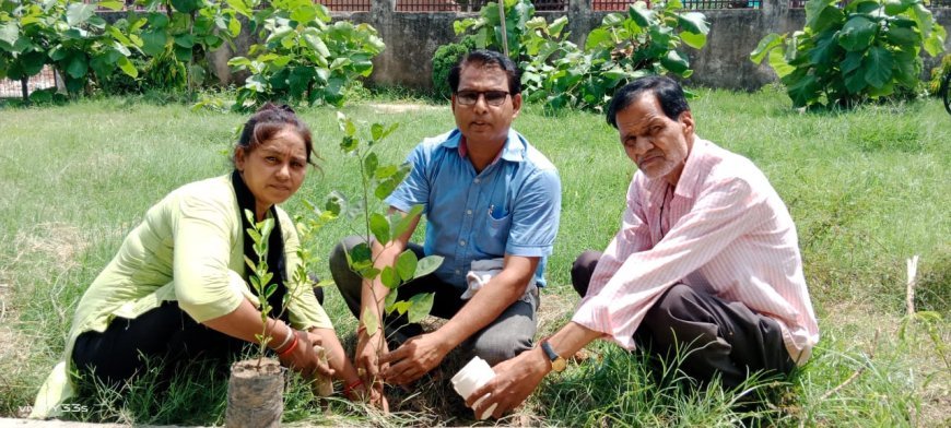 बृक्ष हमारी धरा का सौंदर्य है-डॉ जितेंद्र