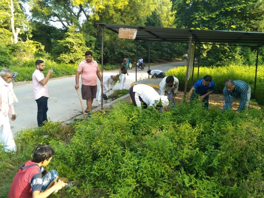 यमुना तट मार्ग पर स्थित दिवंगत आत्मा के पिंडदान स्थल पर चला सफाई अभियान