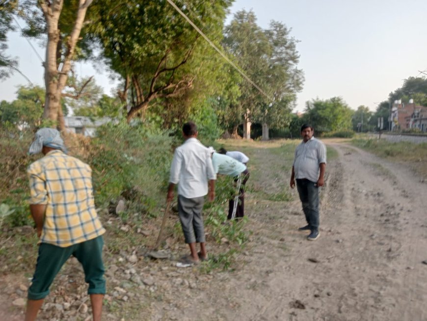 न.पा.परिषद ने चलाया सफाई अभियान