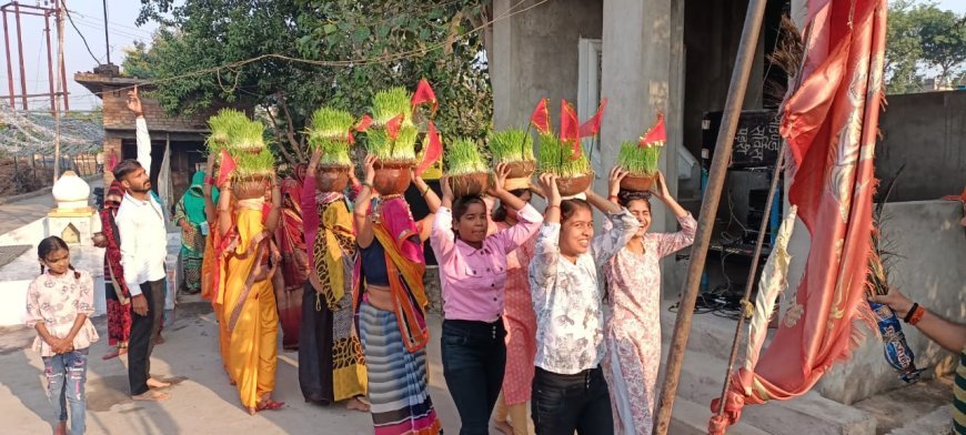 शारदीय नवरात्रि की नवमी पर सिंह वाहिनी मन्दिर पर चढ़ाये गये जबारे