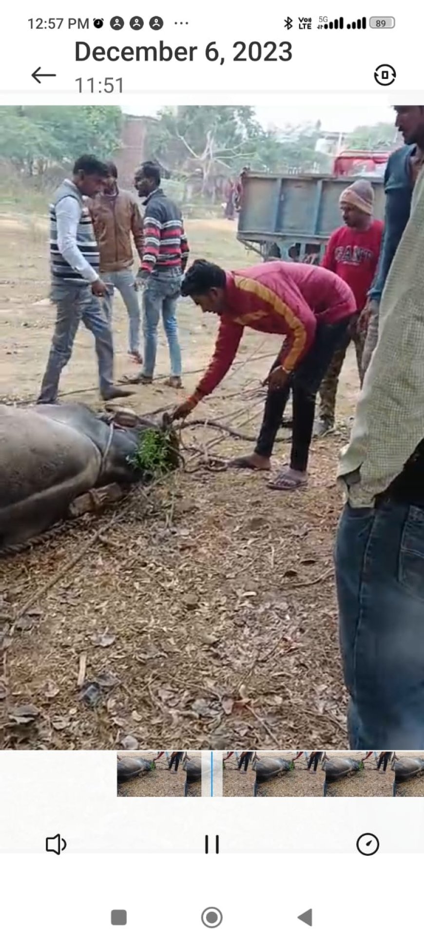 कुएं में गिरे सांड को मुहल्लेवासियों ने निकाला सुरक्षित