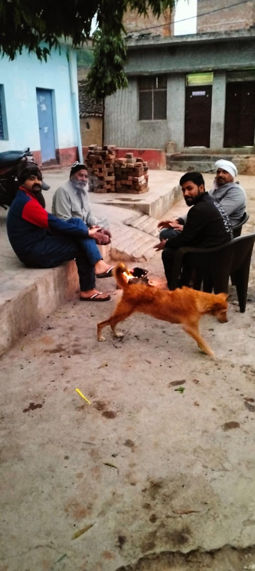 शीतलहर ने बढ़ाई लोगो की मुसीबत, घरो में दुबके लोग