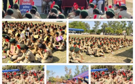 राष्ट्रीय सड़क सुरक्षा माह के अंतर्गत सड़क सुरक्षा सम्बन्धी कार्यक्रम का किया गया आयोजन