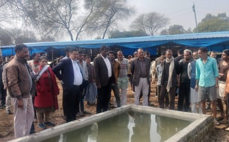 गो आश्रय स्थलों को दुरुस्त करने के लिए जिलाधिकारी की सख़्ती के चलते सुधरने लगी मवई ब्राह्मण गौशाला की दशा