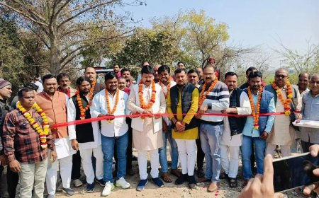 पालिकाध्यक्ष ने भूमि पूजन कर डामरीकरण कार्य का किया शुभारम्भ