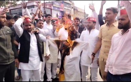 विधायक विनोद चतुर्वेदी का फूंका पुतला