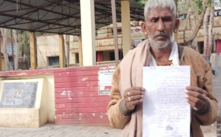 चोर ले उड़े 9 भेड़ व एक बकरी