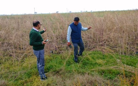 ओलावृष्टि व बेमौसम बरसात से फसलों को हुई भारी क्षति,प्रशासनिक अधिकारियों ने देखी खेतों की दशा