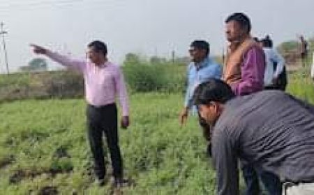 बारिश व ओलावृष्टि का जिलाधिकारी ने लिया जायजा, किसानों के नुकसान को परखा
