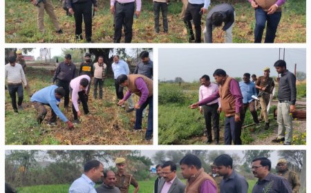 असमय हुई बारिश व ओलावृष्टि से किसानो की हुई क्षति को लेकर जिलाधिकारी ने किसानों के खेतों पर पहुंच,लिया जाएजा