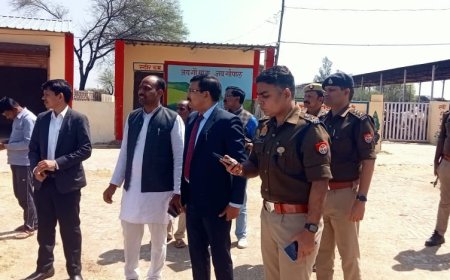 जिलाधिकारी ने कान्हा गौशाला का किया औचक निरीक्षण