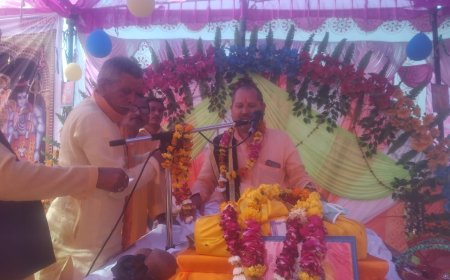 भागवत कथा: गोवर्धन लीला के साथ भगवान श्रीकृष्ण की बाल लीलाओं का सुनाया प्रसंग