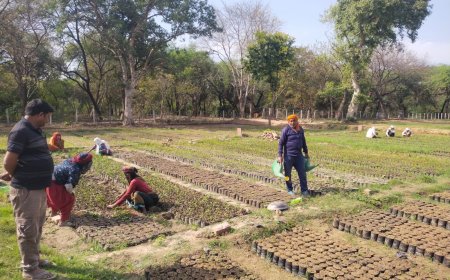 वन विभाग किसानों एवं प्रधानो को उपलब्ध करायेगा फलदार व छायादार वृक्ष ।