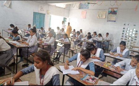 सरस्वती विद्या मंदिर में प्रबंधन समिति की बैठक संपन्न मूलभूत समस्याओं पर हुई चर्चा