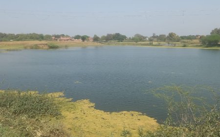 जल निकासी न होने से खेत बने तालाब,किसान परेशान