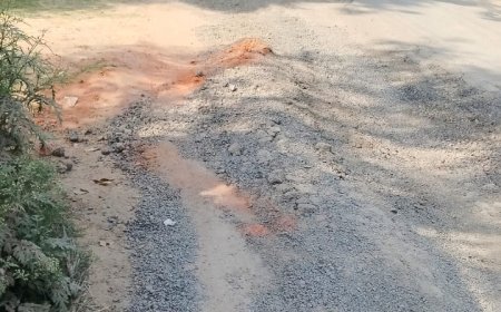 पता ही नहीं चलता कि सड़क में गढ्ढे है या गढ्ढे में है सड़क