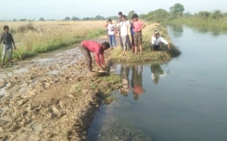 नहर विभाग की लापरवाही से किसानों की मेहनत पर फिरा पानी फसलें हुई जलमग्न