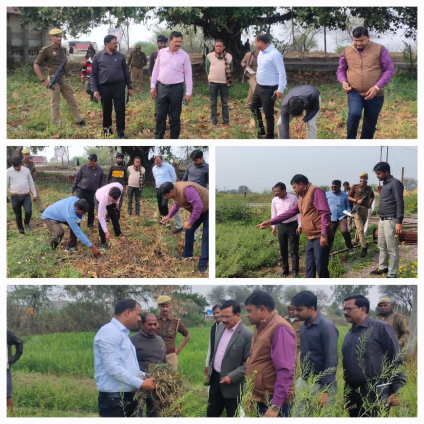 असमय हुई बारिश व ओलावृष्टि से किसानो की हुई क्षति को लेकर जिलाधिकारी ने किसानों के खेतों पर पहुंच,लिया जाएजा