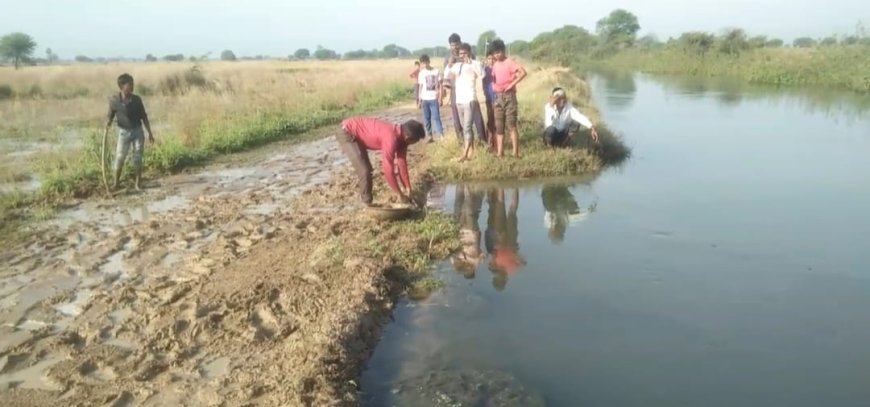 नहर विभाग की लापरवाही से किसानों की मेहनत पर फिरा पानी फसलें हुई जलमग्न