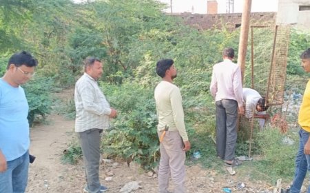 विद्युत विभाग ने तारों में छूते पेड़ों को छांटने का चलाया अभियान