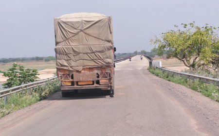 दो जनपदों को जोड़ने वाला पुल बना अवैध परिवहन का साधन रात और दिन अवैध बालू और लकड़ी का हो रहा परिवहन व्यापार