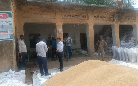 छौंक गांव के गेंहू क्रय केंद्र का उपजिलाधिकारी ने किया औचक निरीक्षण