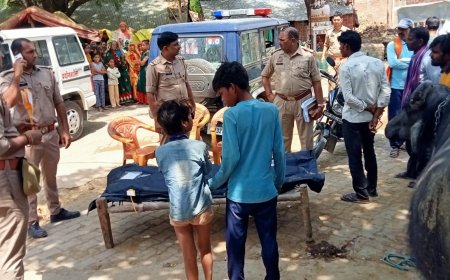 दाम्पत्य विवाद में पत्नी की संदिग्ध मौत, पुलिस जांच में जुटी