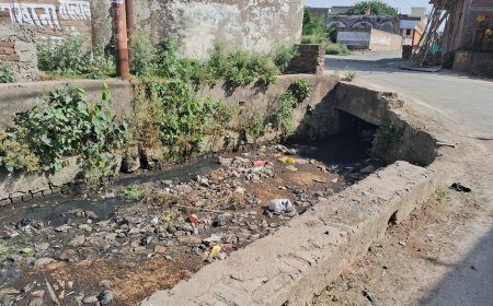 नगरपालिका की सफाई ढोल में पोल,मंदिर के बगल में गन्दगी से पटा नाला