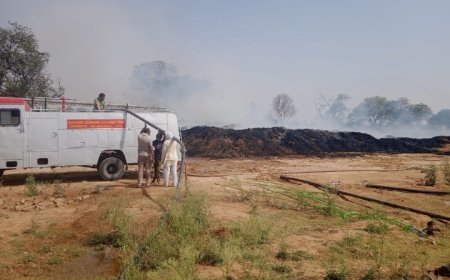 हाईटेंशन लाईन से निकली चिंगारी से खेतों में लगी आग