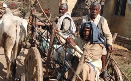 आजादी के 70 साल बाद भी लोग बैलगाड़ी से वोट डालने को मजबूर