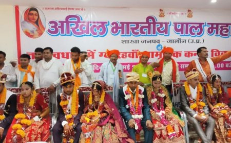 पाल महासभा के तत्वावधान में सामूहिक 11वां कन्या विवाह समारोह किया गया आयोजित