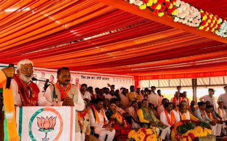 अपने सरकार की उपलब्धियां कम विपक्ष की कमियां गिनाते नजर आए स्वतंत्र देव सिंह