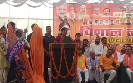 मोदी सरकार ने 10 सालों में लड़खड़ाती अर्थव्यवस्था को बनाया टॉप फाइव - अनुप्रिया पटेल