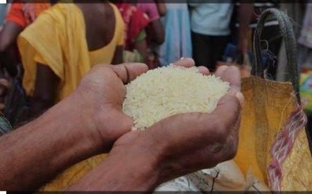 चावल माफियाओं की हनक के आगे बौने साबित हो रहे विभागीय जिम्मेदार