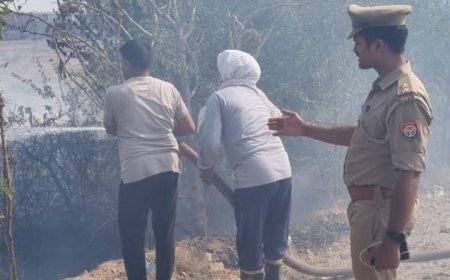 गौशाला समेत 4 अलग अलग स्थानों में लगी आग