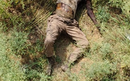 सड़क किनारे पुलिया के नीचे दुर्गन्धित लावारिस शव मिला