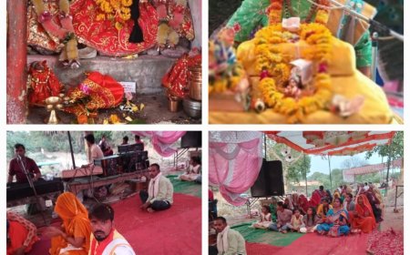 श्रीमद् भागवत महापुराण मे सभी शास्त्रों का सार -- सुधीर कृष्ण शास्त्री श्री वृंदावन धाम