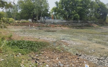 भीषण गर्मी से आमजन परेशान, सूखने लगा तालाबों का पानी