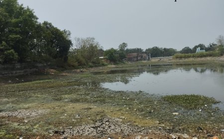 अंधाधुंध जल दोहन से बढ़ा पेयजल संकट