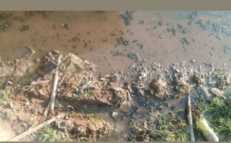 सफाई कर्मचारियों के न आने से ग्राम मुसमरिया में लगा गंदगी का अंबार