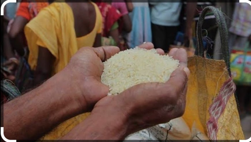 चावल माफियाओं की हनक के आगे बौने साबित हो रहे विभागीय जिम्मेदार