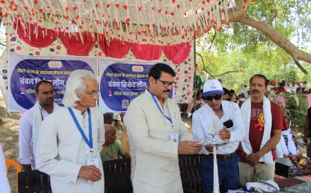 चंबल क्रिकेट लीग सीजन-3: फाइनल मैच में चौरेला टीम बनी विजेता