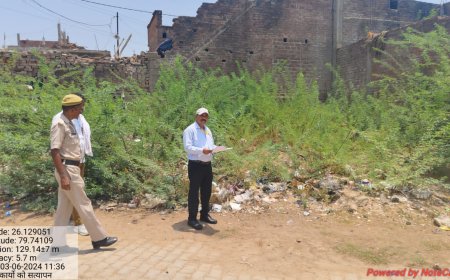 हीट स्ट्रोक से पक्षी भी परेशान दिन में हो रही कई-कई मौतें