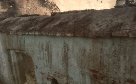 शराबी ने अपने ही घर में आग लगाकर गृहस्थी की स्वाहा