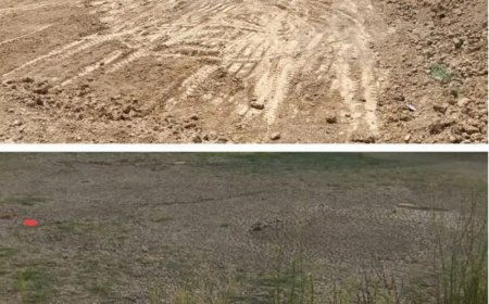 57 ग्राम पंचायत में 171 तालाब 14 अमृत सरोवर पानी के लिए मुंह चिढ़ा रहे।