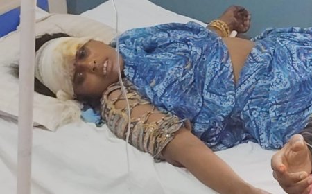 अनियंत्रित होकर खाई में पलटा ई रिक्शा, तीन महिलाओं सहित चार लोग घायल