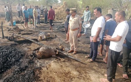 हाई टेंशन लाइन की चिंगारी बनी किसान की बर्बादी का सबब, प्रशासन पहुंचा मौके पर