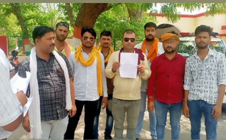 ग्राम मिनोरा के ग्रामीणों ने नेटवर्क ना आने की शिकायत जिलाधिकारी से की